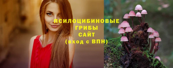герыч Козловка